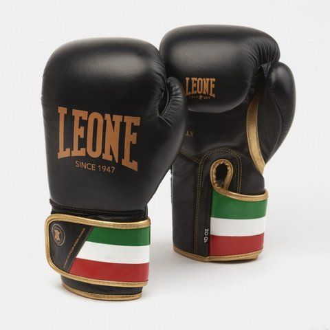 Боксерські рукавички Leone Italy Black 10 ун. 500084_10 фото